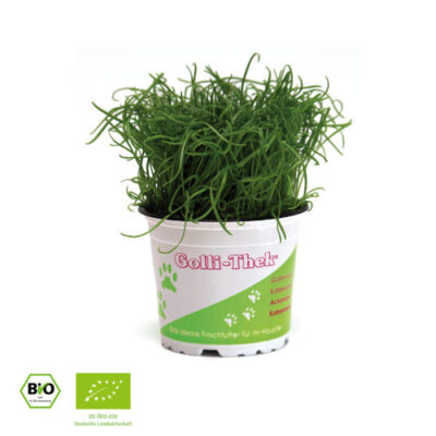 Plantolli - bio
