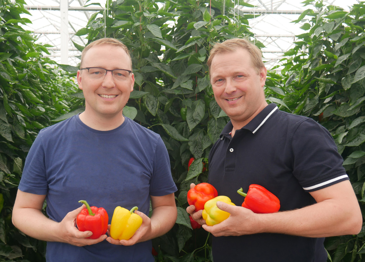 Stefan und Daniel mit Paprikas